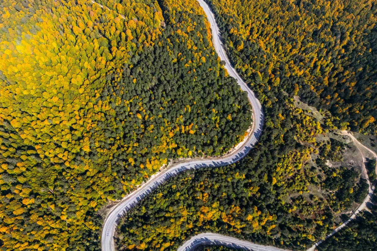 Enterprise Transformation Roadmapping and Enterprise Transformation programme image