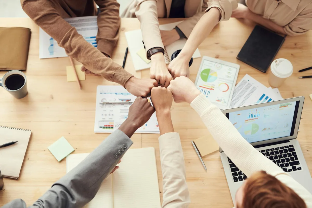 Performance Appraisal and Organisational Capability programme image