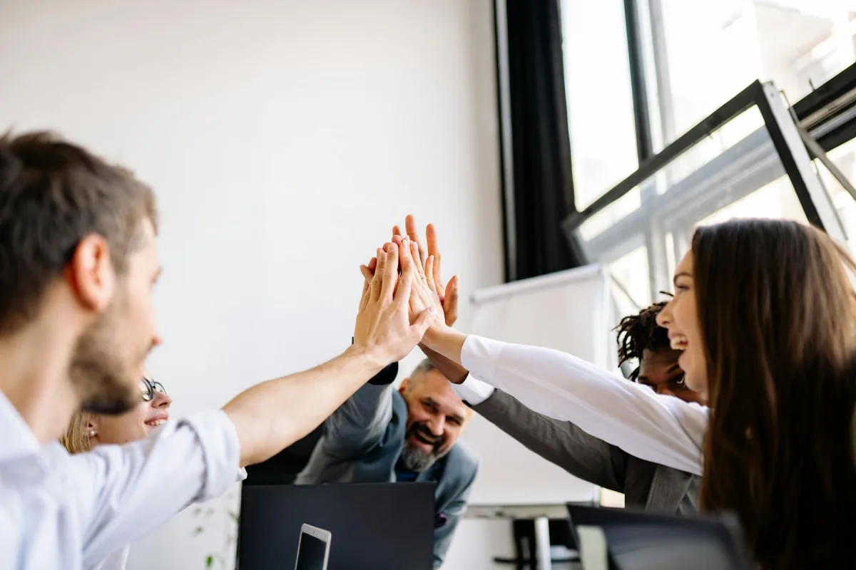 HR Business Partnering and Organisational Capability programme image