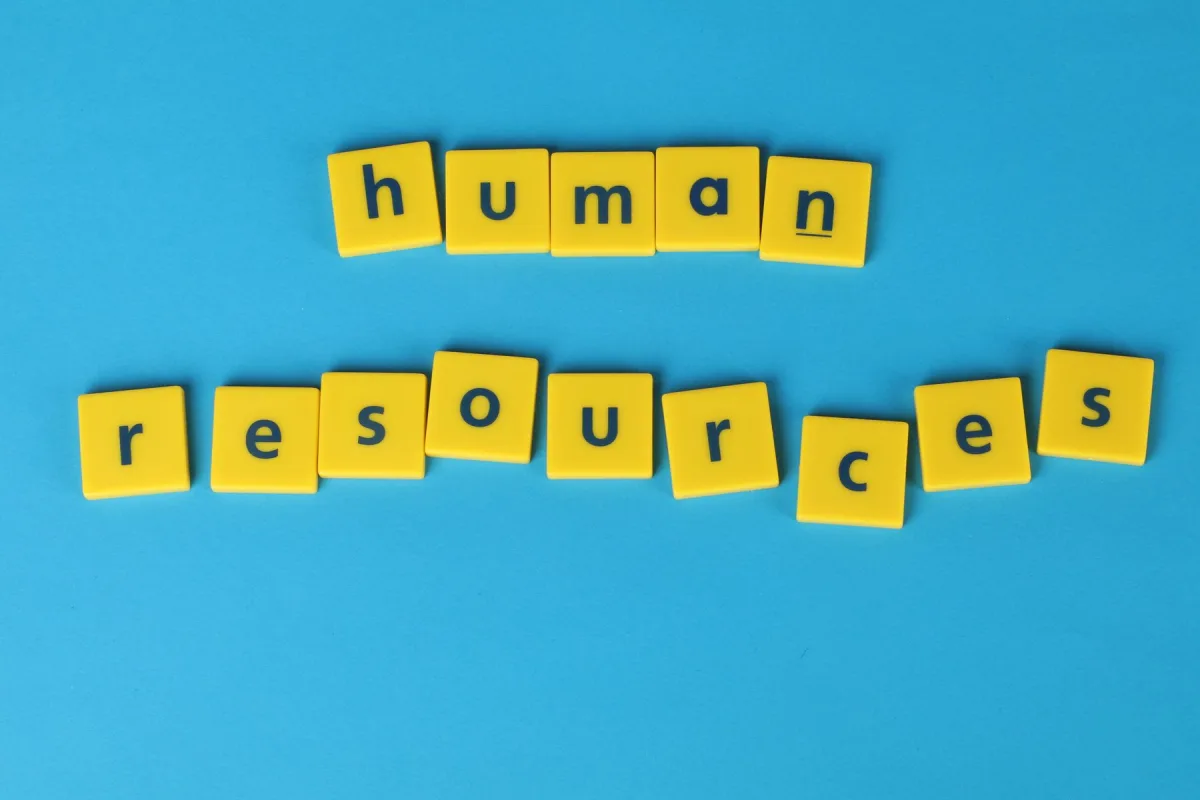 Recruitment and Selection and Workforce Performance programme image