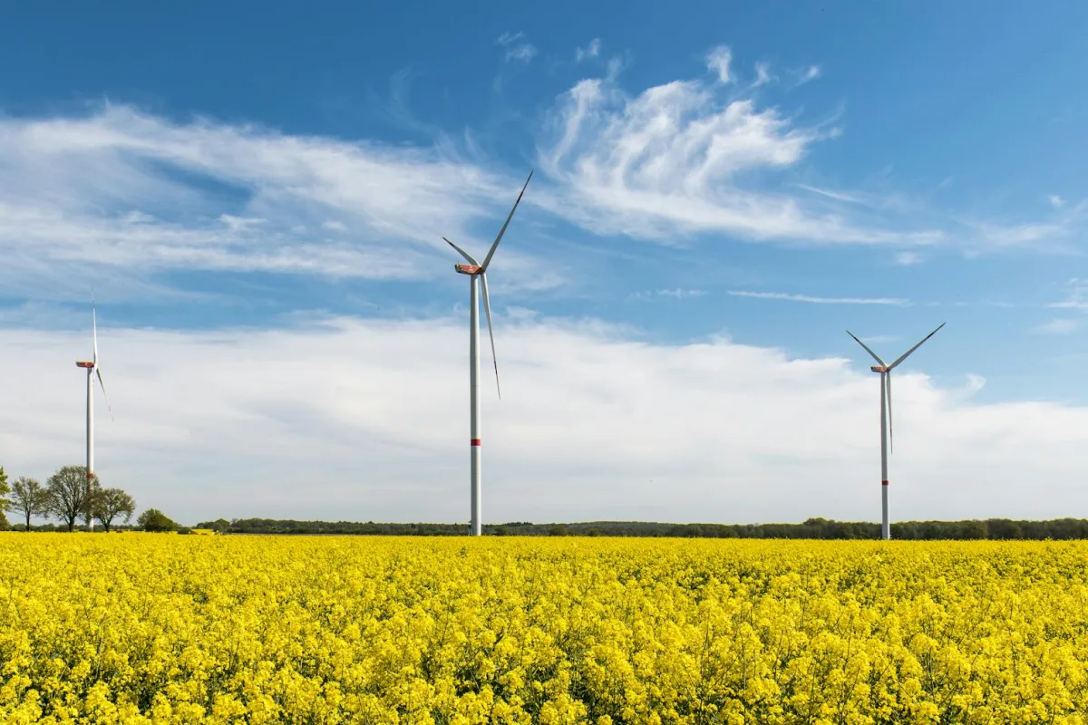 Sustainability in Energy for Sustainable Energy Performance programme image
