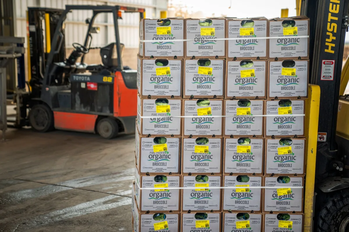 Inventory and Warehousing for Commercial Resilience programme image