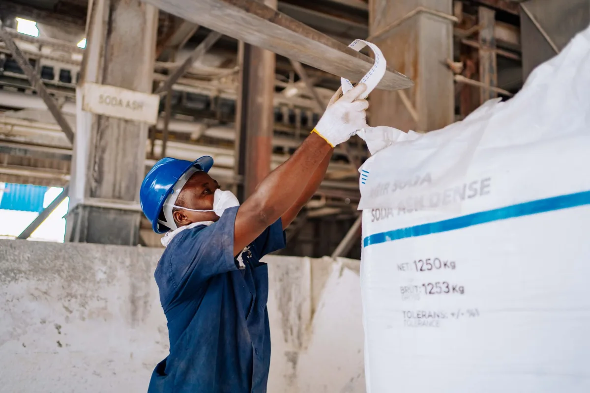 Sourcing Strategy and Supply Assurance programme image