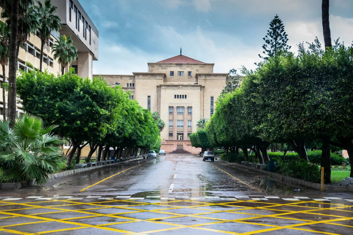 Public Finance Control and Institutional Effectiveness programme image