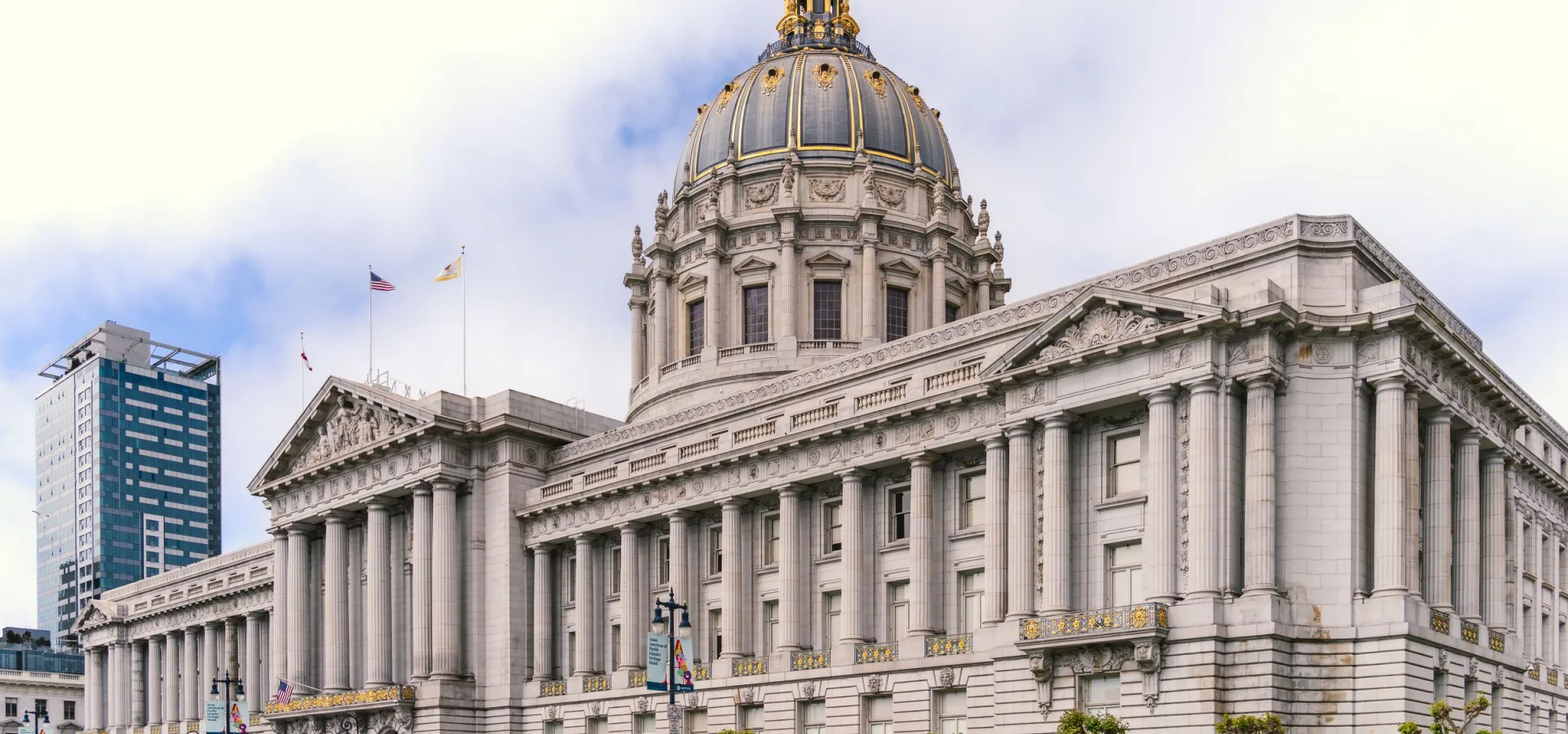 Governance for State Institutions for Modern Public Administration course hero image