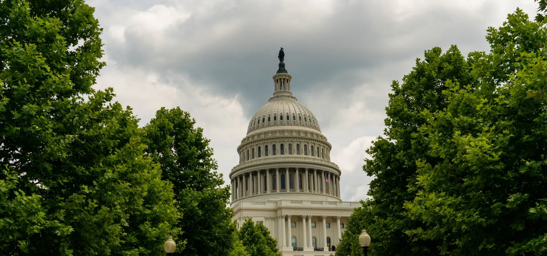 Digital Government Transformation for Modern Public Administration course hero image
