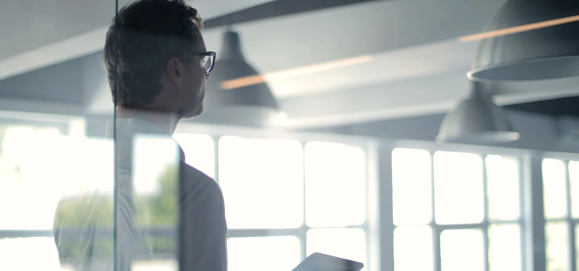 Advanced Enterprise Portfolio Planning for Senior Leaders registration course image